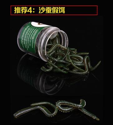 钓鱼沙蚕饲养的技巧与方法（掌握养殖要领轻松享受丰收）  第3张