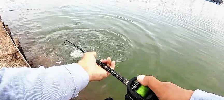 钓鱼上岸的技巧（掌握这些技巧，让你的钓鱼更加）  第3张