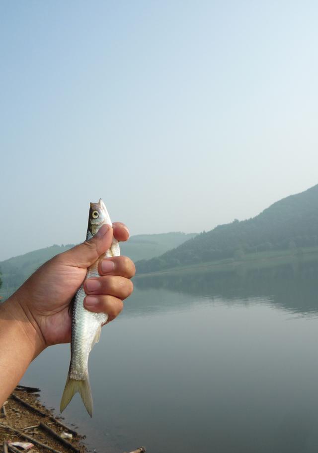 钓鱼技巧大揭秘（搓饵挂钩，让你事半功倍）  第2张