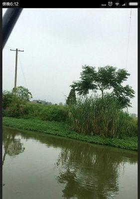 钓鱼之道（揭秘钓鱼路的黑客技巧，保护你的个人信息和财产安全）  第2张