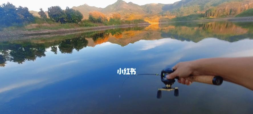 钓鱼技巧大揭秘（掌握钓鱼技巧，捕获更多鱼类）  第3张