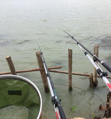 钓鱼收杆的技巧（提升钓鱼收杆效率的关键要点）  第1张