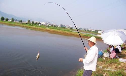 钓鱼远距离打窝技巧（有效提升钓鱼成功率的实用方法）  第1张