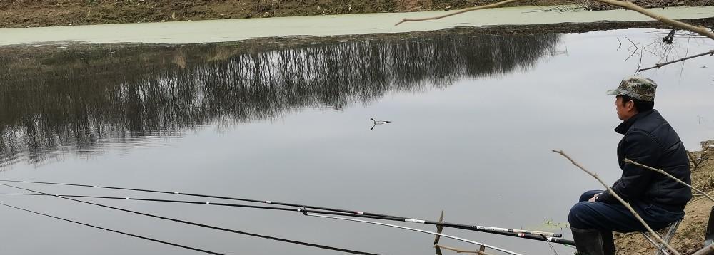 钓鱼技巧大揭秘（钓鱼高手分享，轻松抓大鱼）  第2张