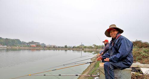 钓鱼技巧大揭秘（掌握这些关键技巧，抓鱼轻松易如反掌）  第3张