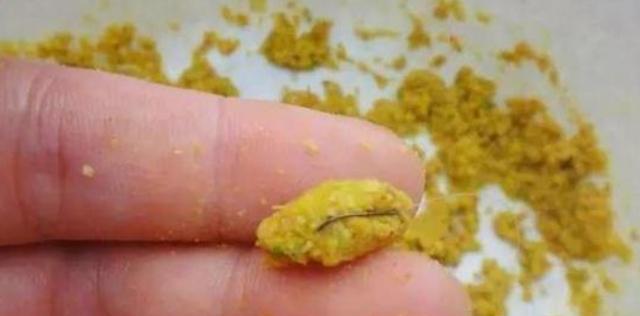 钓鱼技巧（玉米钓法秘诀揭秘，让你成功钓获丰富渔获！）  第2张
