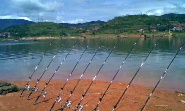 钓鱼新手教程（掌握抛竿技巧，让你成为钓鱼高手）  第1张