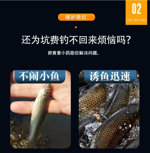 钓鱼秘技大揭秘——小药打窝的绝妙技巧（轻松掌握，让你的钓鱼技术更上一层楼）  第2张