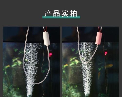 钓鱼增氧的方法与技巧（钓鱼时如何有效增加水中氧气含量）  第3张