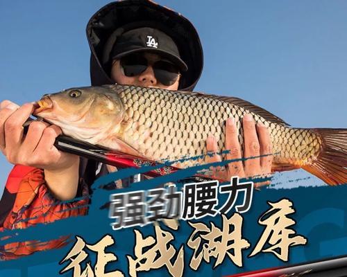 钓鱼长竿甩竿技巧（提升钓鱼技巧，享受甩竿乐趣）  第3张