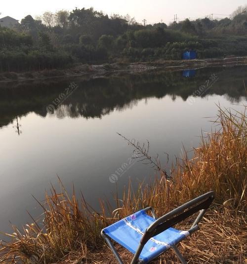 钓鱼寻找窝的技巧（水草塘中寻找理想钓鱼位置的秘诀）  第2张