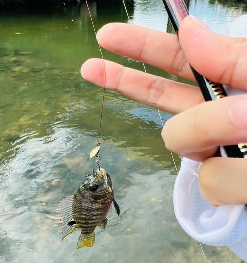 钓鱼握竿技巧（钓鱼的关键，稳定与舒适并重）  第3张