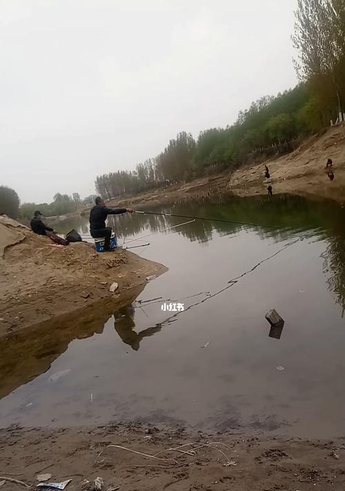 钓鱼证办理技巧和方法（简单易懂的办证攻略，轻松拥有钓鱼证）  第3张