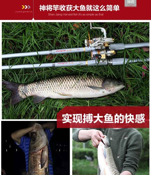 钓鱼技巧大揭秘（掌握甩杆技巧，成为钓鱼高手）  第3张