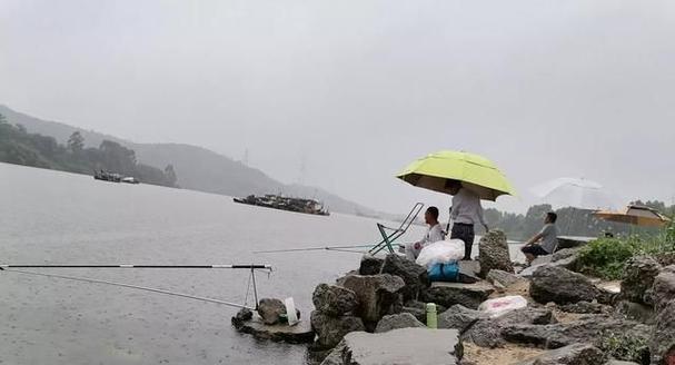 钓鱼的基本知识与技巧（掌握钓鱼的关键要素，成为钓者）  第2张