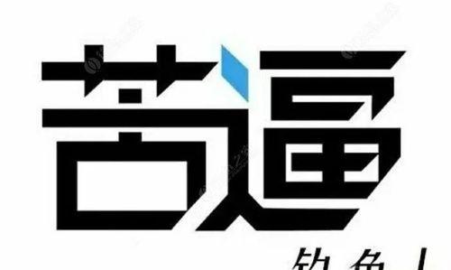 钓鱼自我反省技巧（掌握自我反省的关键，提升钓鱼技能）  第1张