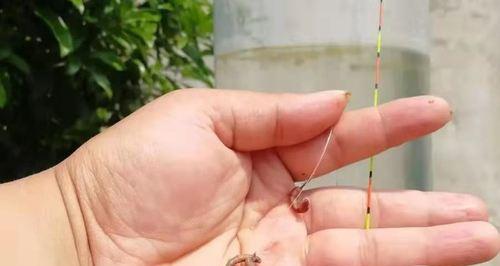 钓鱼立漂技巧大揭秘（掌握这一关键技巧，让你的钓鱼成功率翻倍）  第2张