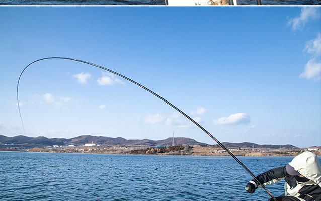 冬季十米长竿钓鱼的技巧（冬季钓鱼利器）  第1张