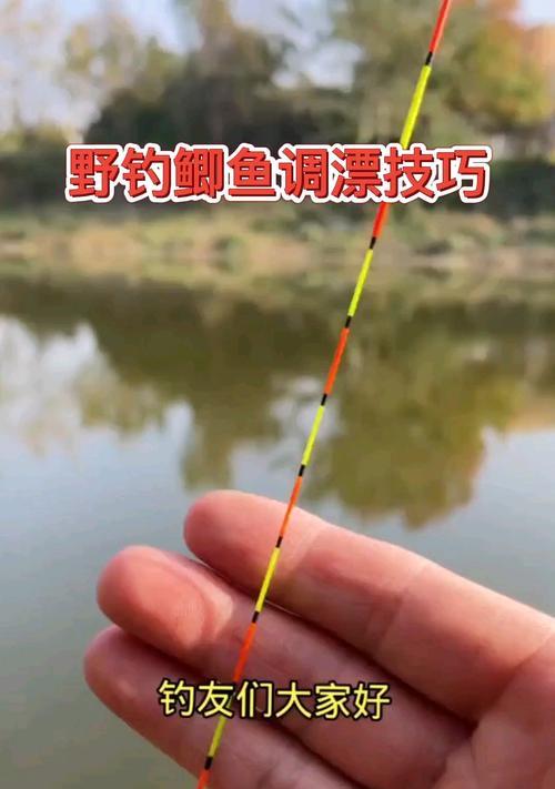 冬季死水钓技巧——钓鱼专家分享的秘籍（钓鱼技巧、装备选择、调整策略）  第3张