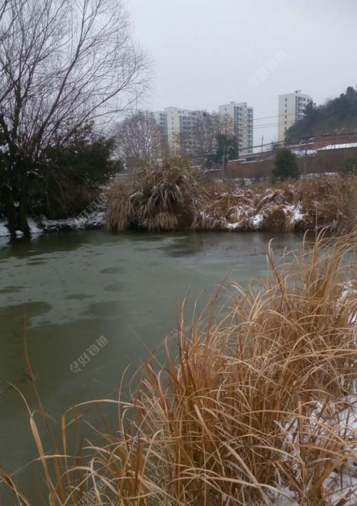 冬季下雪天钓鱼技巧（挑战寒冷）  第3张