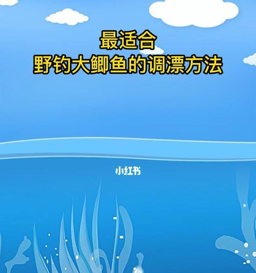 冬季野钓钓底调漂技巧（冬季野钓）  第1张