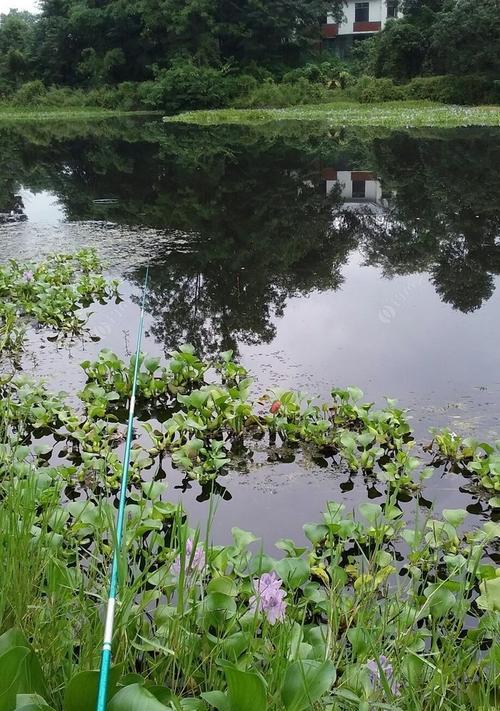 冬季钓大鲫鱼技巧（寒冬寻找大鲫的妙招）  第3张