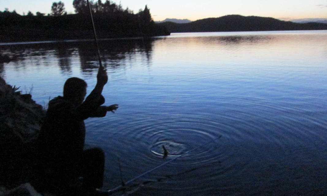 冬季夜钓钓鱼打窝的技巧与方法（寒冬寻找温暖的鱼踪）  第3张