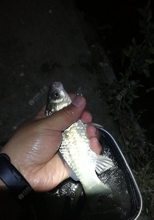 冬季夜钓水库鱼的技巧（寒冬长夜）  第2张