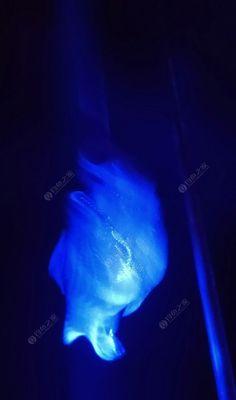 冬夜钓鱼的技巧与方法（寒夜中的垂钓乐趣与技术分享）  第1张
