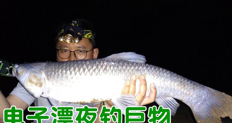 夜钓鱼技巧之调漂要领（寒冬夜晚）  第2张