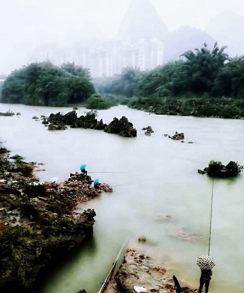 冬季雨天河钓鱼技巧（冬季河钓的关键技巧与策略）  第2张
