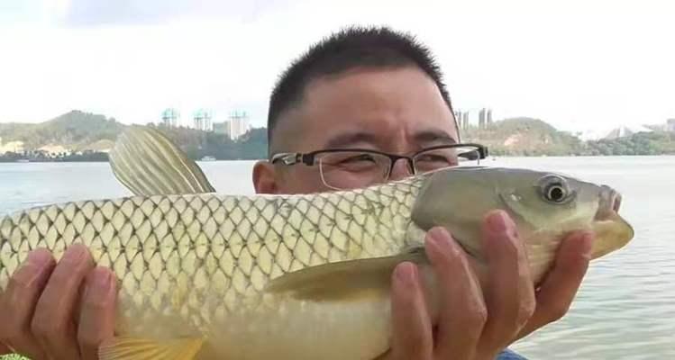 冬季玉米钓鱼技巧（钓鱼专家分享冬季玉米钓鱼的技巧与心得）  第2张