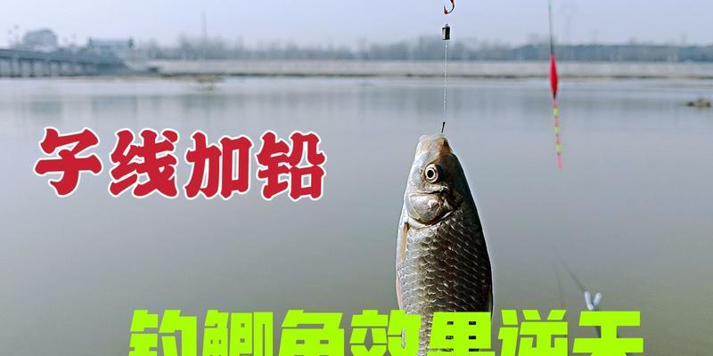 冬季走水河钓鱼技巧与方法（探寻冬季走水河钓鱼的窍门和策略）  第2张