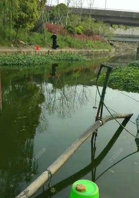 冬季走水河钓鱼技巧教程（冬季走水河钓鱼技巧）  第1张