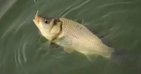 冬季钓竿保养和技巧（保持冬季钓竿的最佳状态）  第3张