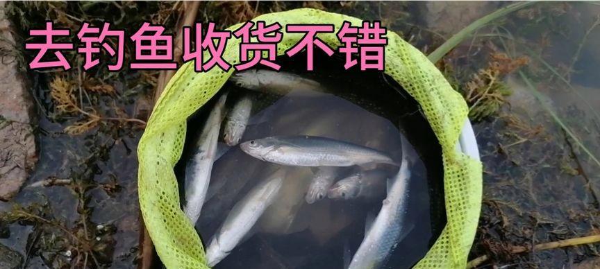 冬天钓鱼打糍粑的技巧（冬天钓鱼的时机）  第2张