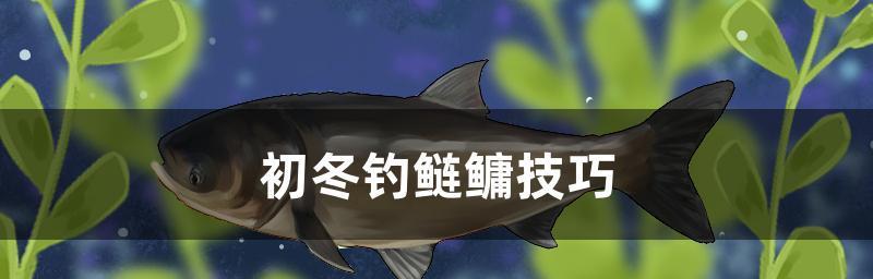 断头沟钓鱼技巧（掌握断头沟钓鱼的秘诀）  第3张