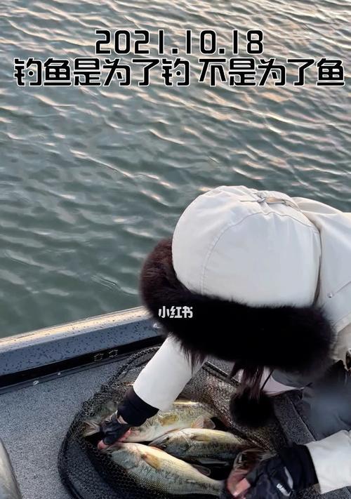 多伦多冰钓技巧全解析（掌握冰钓技巧）  第1张