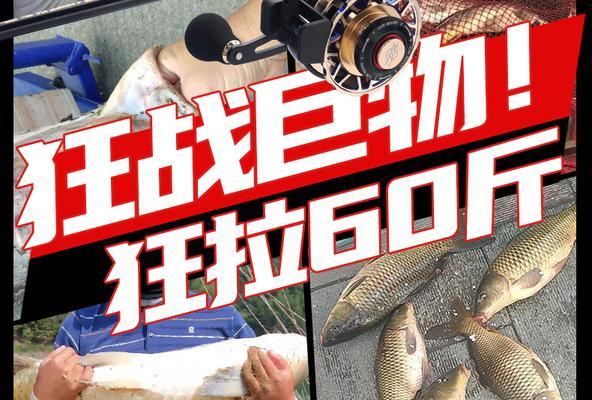 多维度钓鱼技巧（多维度钓鱼技巧）  第1张