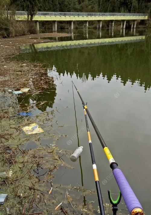 多雨天气下的钓鱼技巧（雨中寻鱼）  第3张