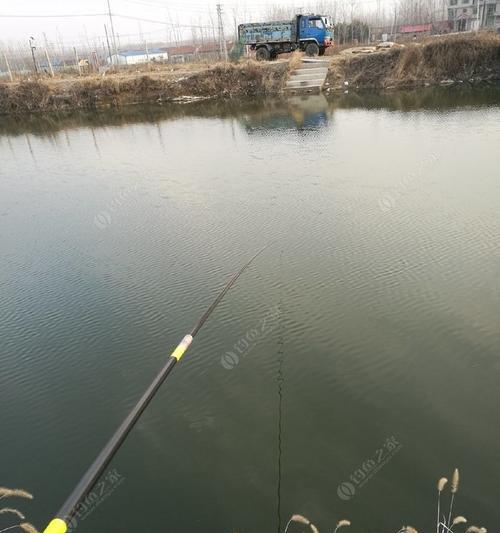 二十元鱼塘钓鱼技巧（小资预算下的放松垂钓乐趣）  第2张