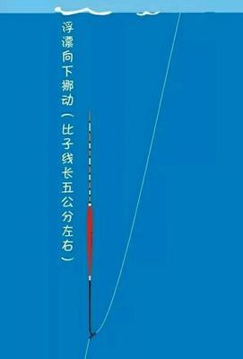 六月份钓鱼调漂技巧（钓鱼技巧大揭秘）  第2张