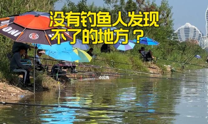 夏季钓鱼技巧（六月份的钓鱼宝典）  第3张