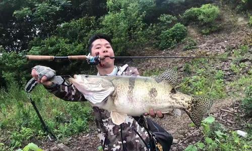 夏日钓鱼技巧与方法（六月中下旬水域钓鱼攻略）  第2张