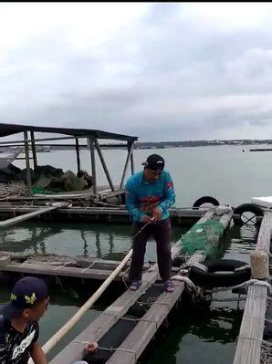 筏钓竿梢抓口技巧大全（提升钓鱼成功率的关键技巧）  第3张