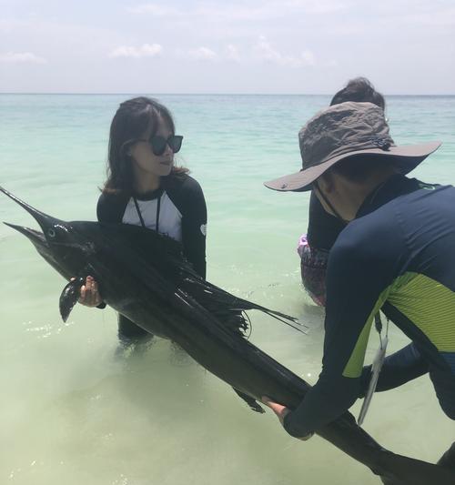 浮潜钓鱼的技巧与方法（探寻海底宝藏的窗口）  第1张