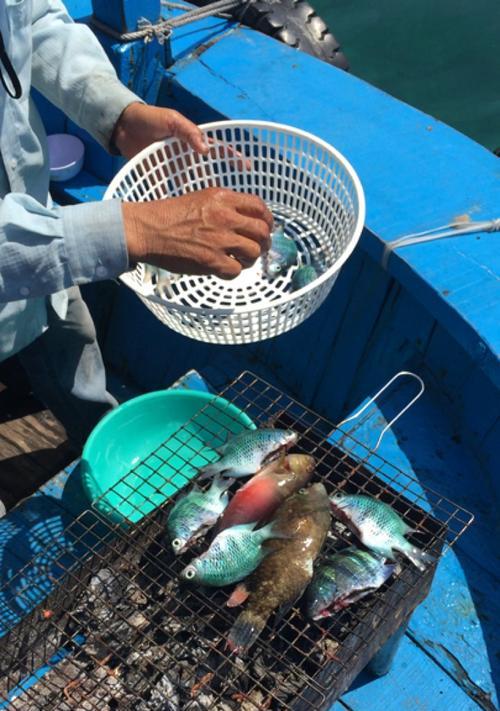 浮潜钓鱼的技巧与方法（探寻海底宝藏的窗口）  第2张