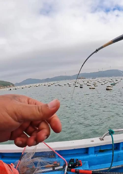 浮游矶钓技巧大揭秘（掌握关键诀窍）  第3张