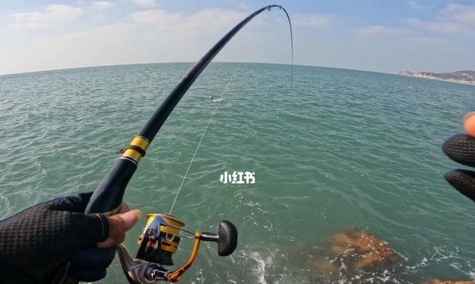 浮游矶钓技巧全解析（掌握浮游矶钓的秘诀）  第2张