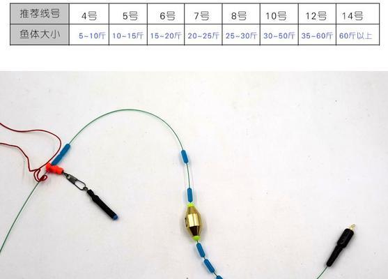 浮游矶钓技巧全解析（掌握浮游矶钓的秘诀）  第1张